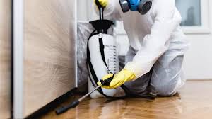 Best Commercial Pest Control  in Meyersdale, PA